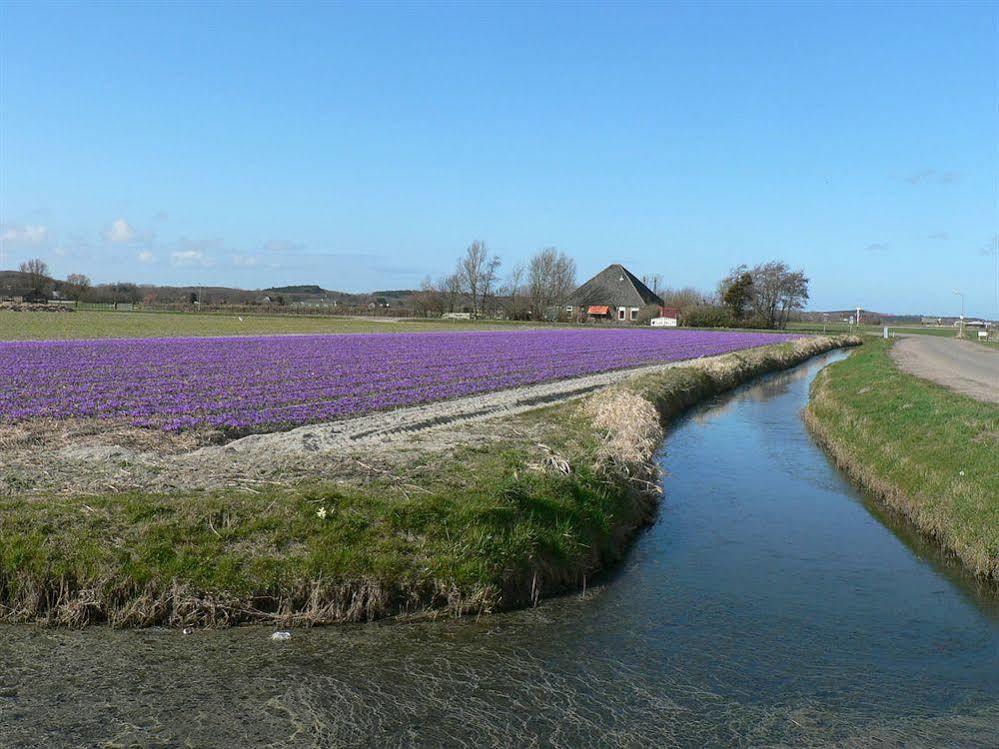Europarcs De Woudhoeve Egmond aan den Hoef Esterno foto